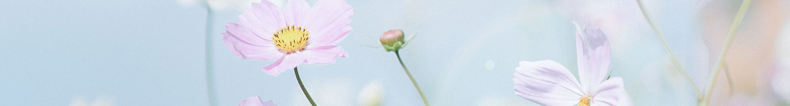 我不放弃的个人主页（封面预览） - 主页封面设置 - 站酷设计师我不放弃原创素材 - 站酷ZCOOL