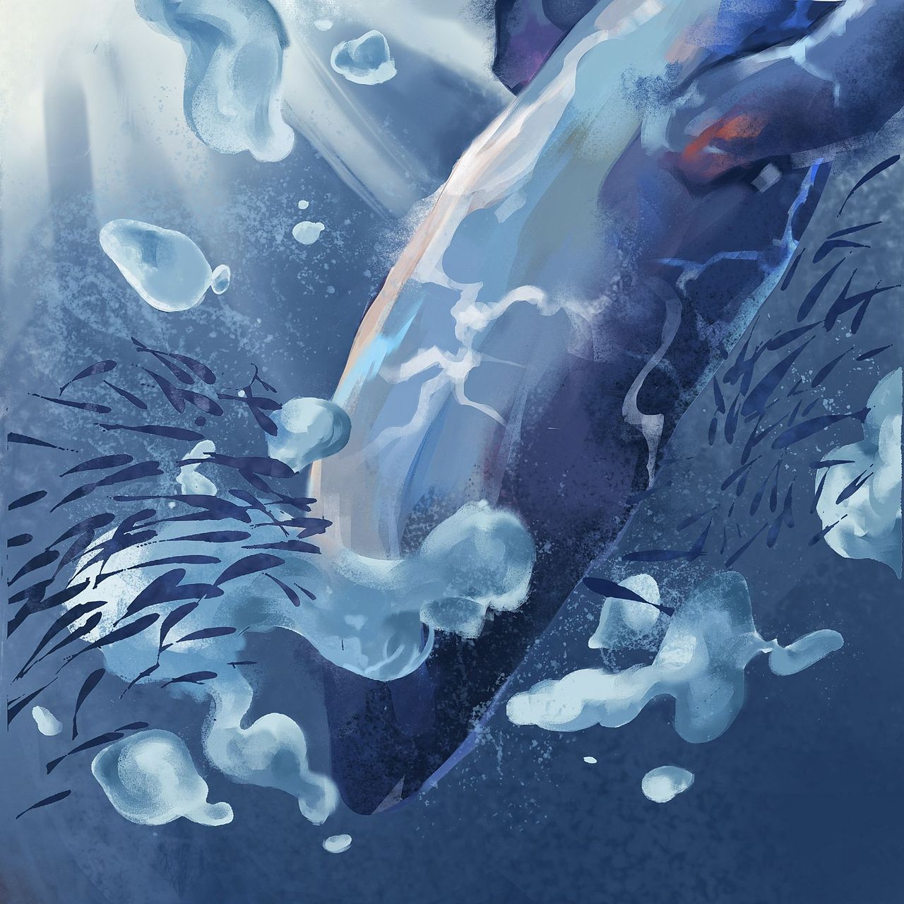 鲸落—关于大海