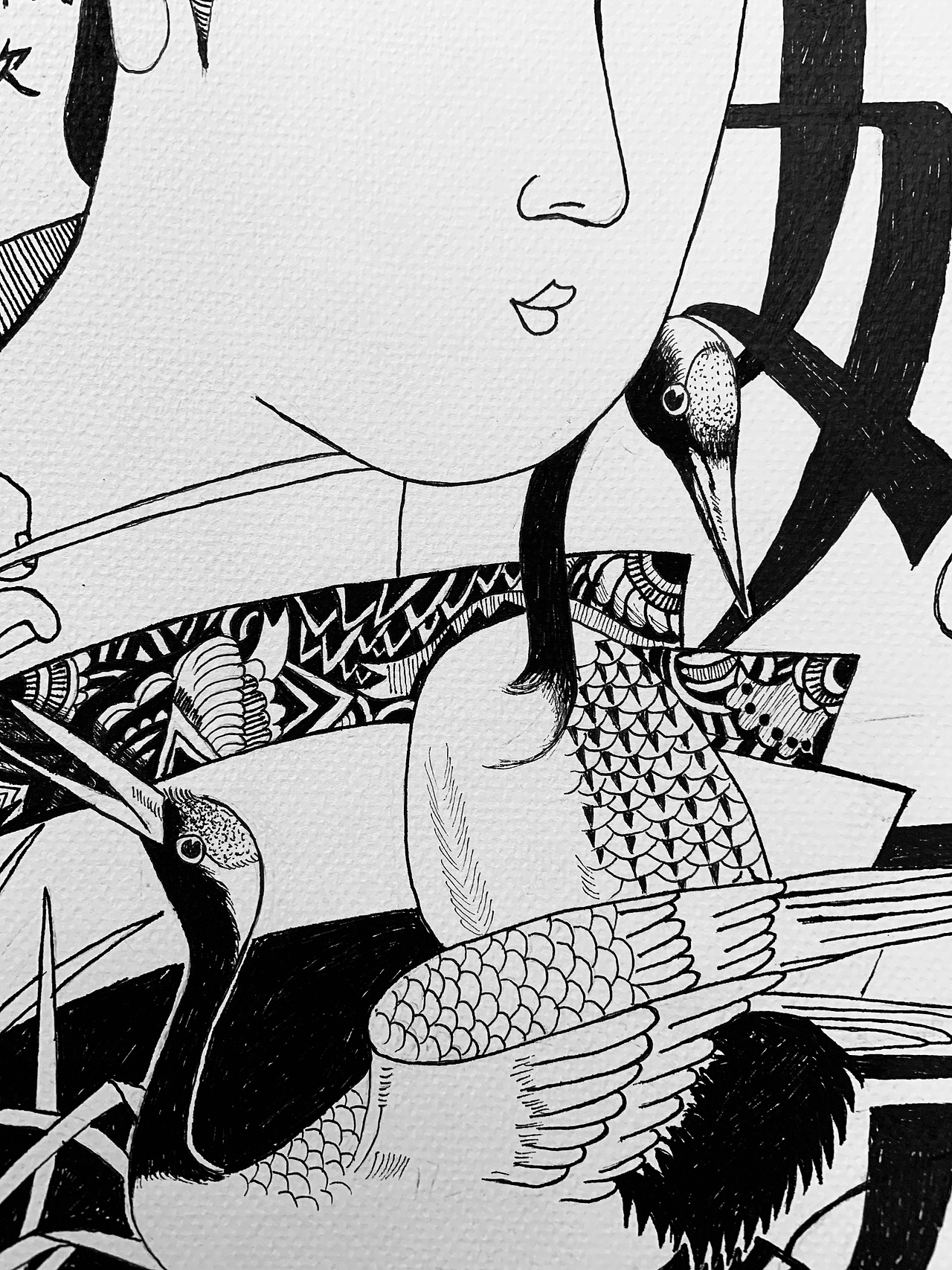 圆珠笔手绘 浮世绘 & 林檎的故事