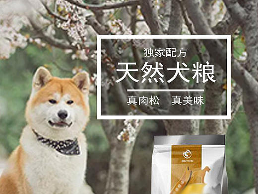 狗粮详情页（个人主页-ZNDU1NzA1MzY=） - 电商 - 站酷设计师不会跳水的猫原创素材 - 站酷ZCOOL