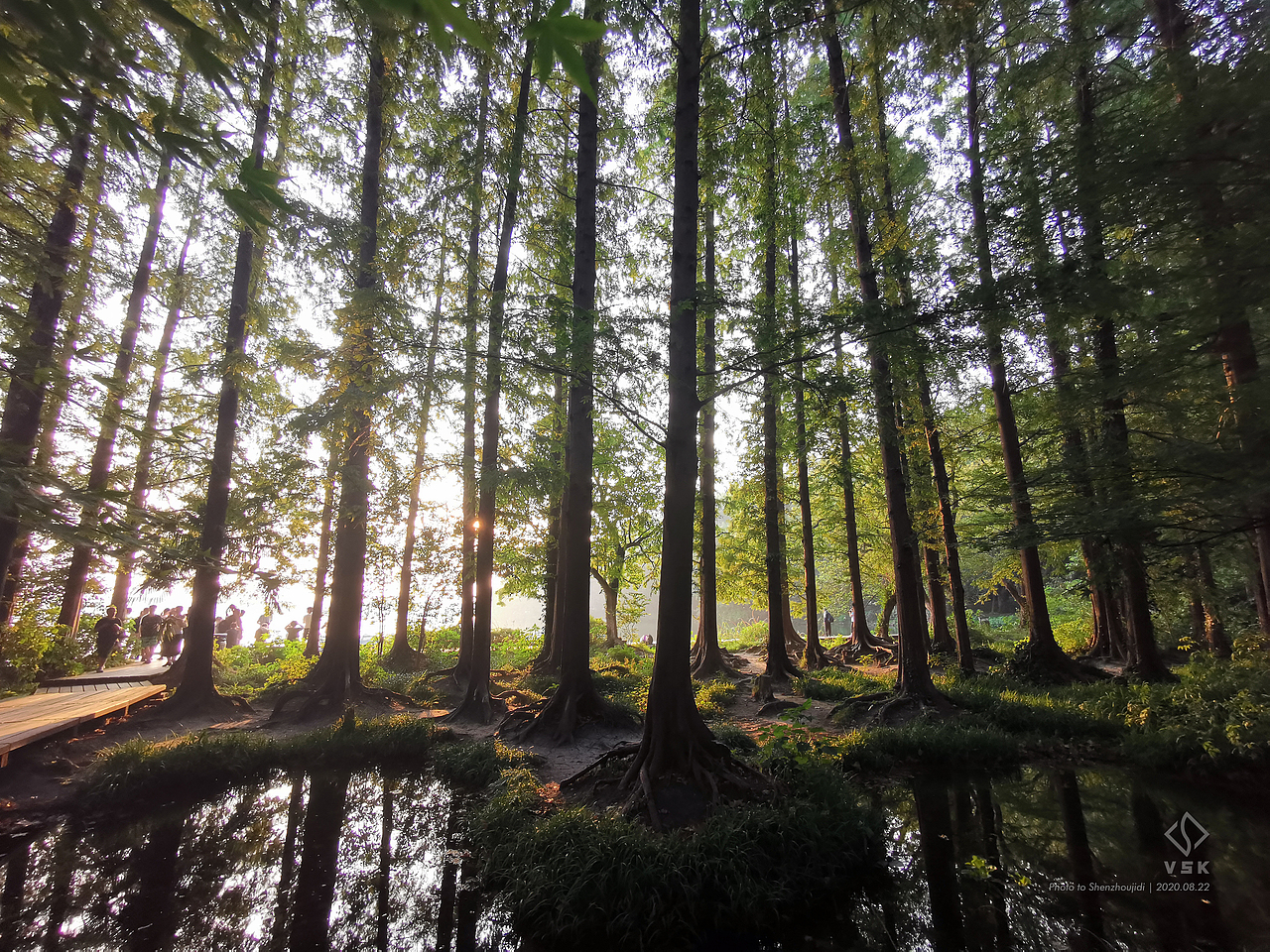连夜拍日出而不得
