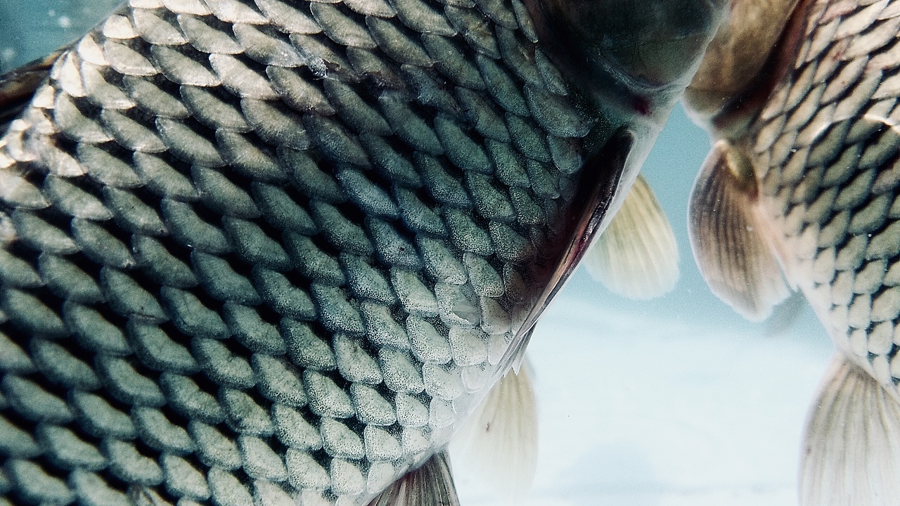 一些比较乱的图