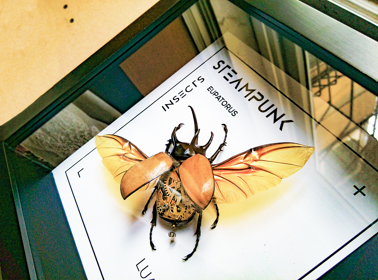 时光生物(Steampunk Art)