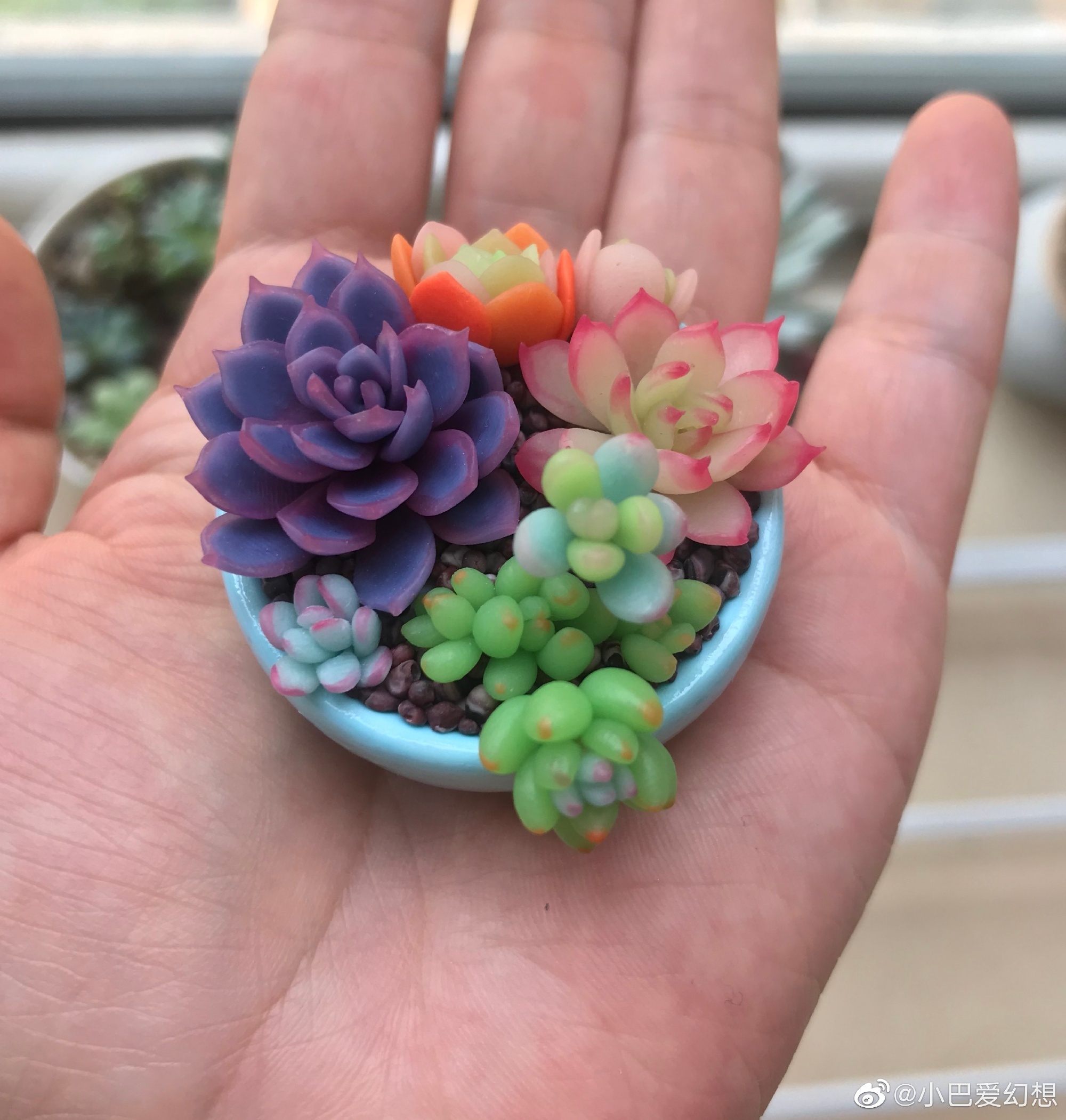 软陶多肉|手工艺|其他手工|小巴爱幻想88 - 原创作品 - 站酷 (zcool)