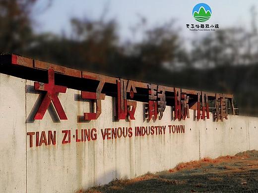 天子岭静脉小镇导视系统（个人主页-ZMjY1MDIyNDA=） - 品牌 - 站酷设计师西溪芦桑原创素材 - 站酷ZCOOL