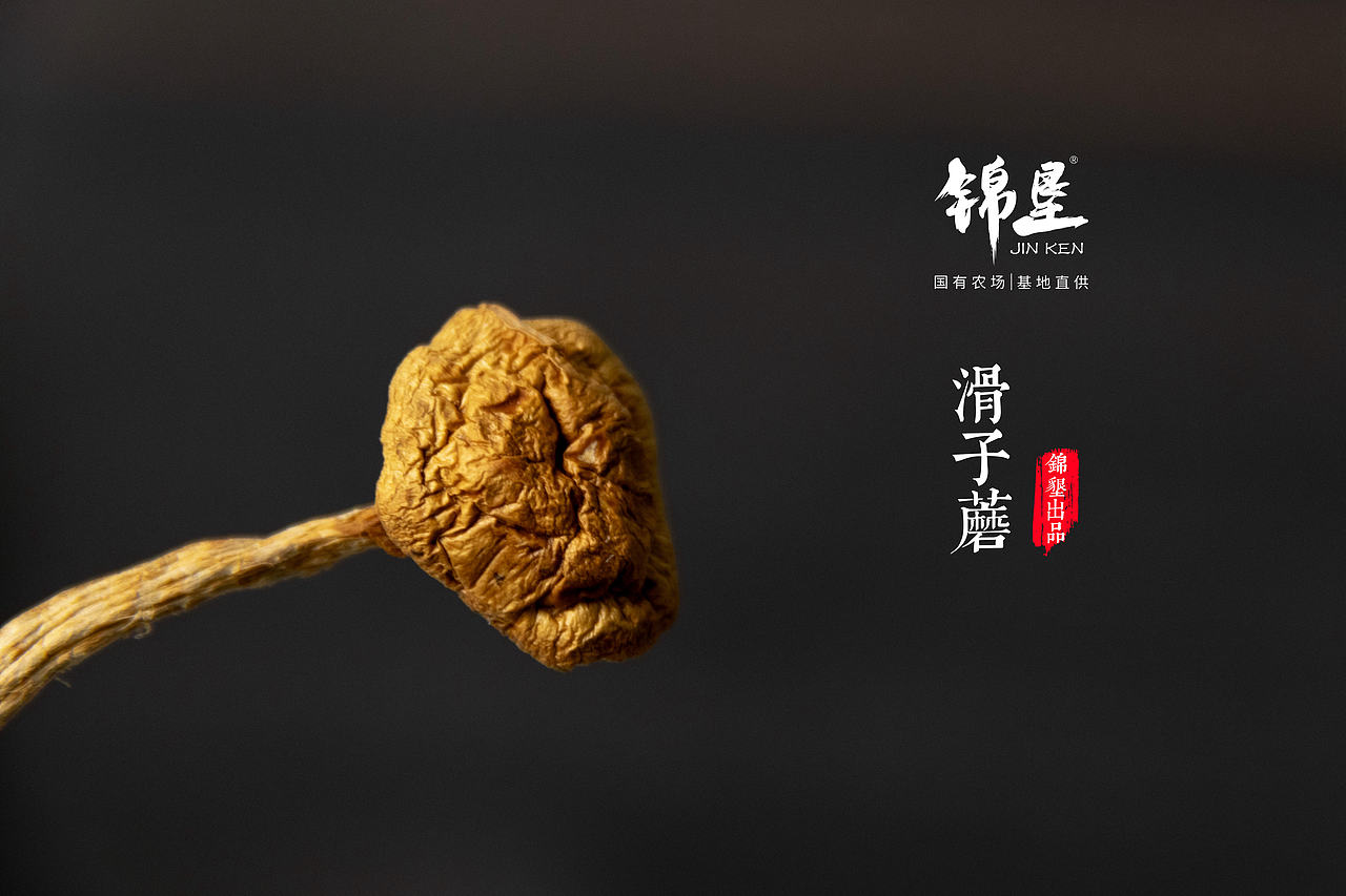 新手摄影求指点（图ZMjAzMzg0OTU2） - 产品摄影 - 站酷设计师ll浮生原创素材 - 站酷ZCOOL