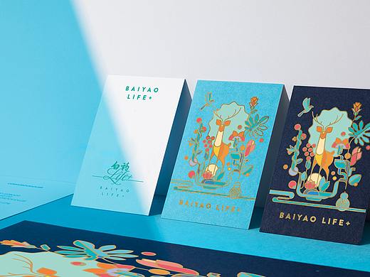 云南白药-“白药LIFE+”品牌设计&节气礼盒