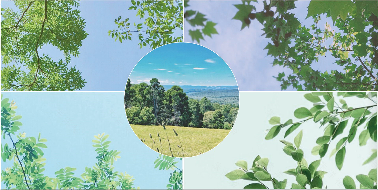 《夏至》型录册子（图ZMjEzMTg5MzY4） - 书籍/画册 - 站酷设计师涣成野原创素材 - 站酷ZCOOL