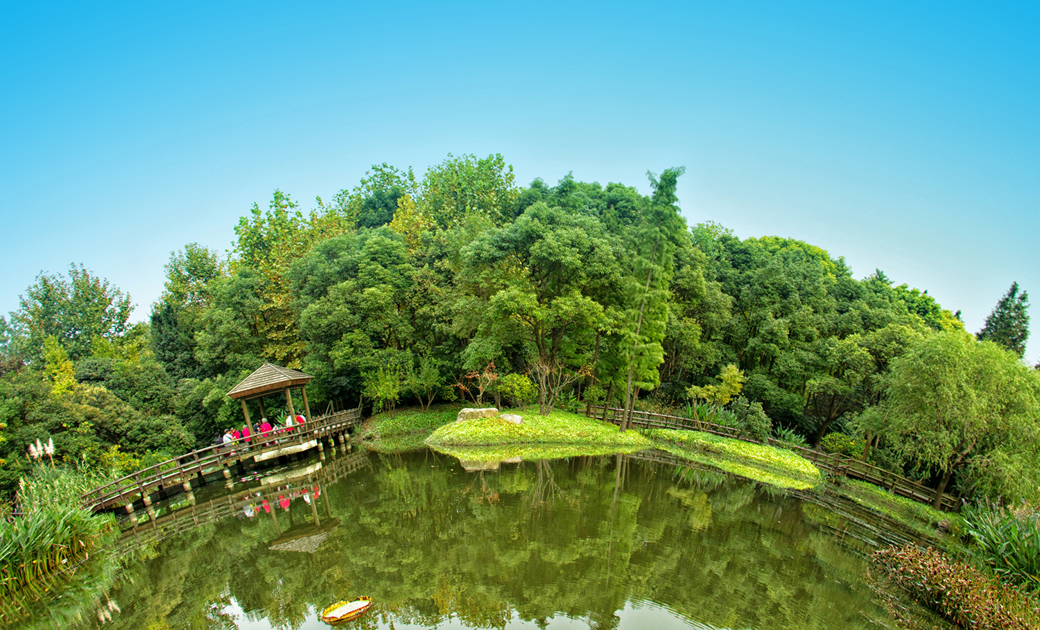 广安半岛公园图片