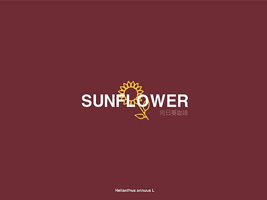 sunflower向日葵咖啡vi（个人主页-ZNDQ0NjY3MjQ=） - 品牌 - 站酷设计师小章鱼哥原创素材 - 站酷ZCOOL