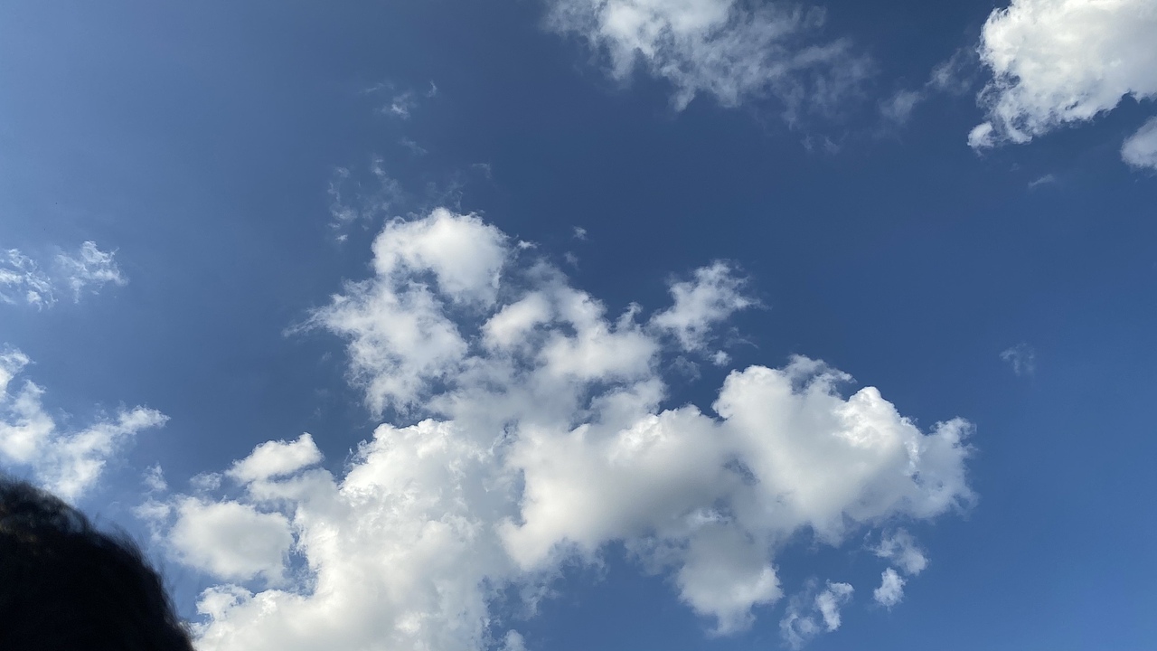 大学城南亭轮渡码头（图ZMjY1NjY0Njgw） - 风光摄影 - 站酷设计师小让让原创素材 - 站酷ZCOOL