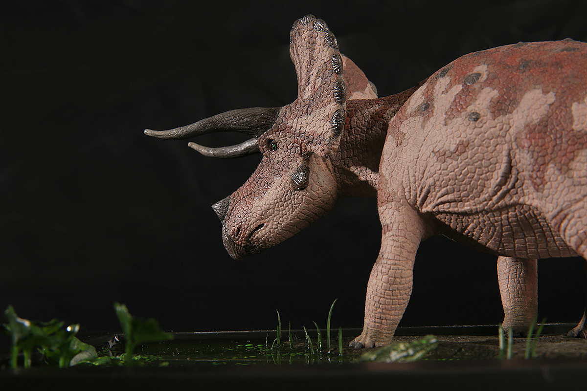 135三角龙龙模型