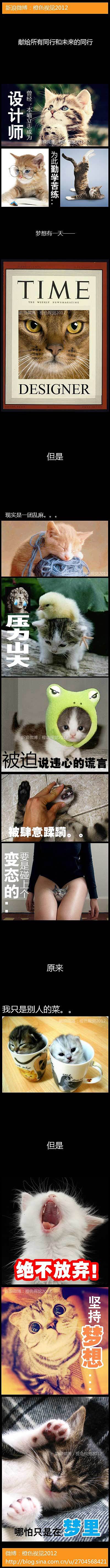 苦逼喵星人设计师第一弹（图ZODE1MDAzNg==） - 文案/策划 - 站酷设计师懒散的橙色原创素材 - 站酷ZCOOL