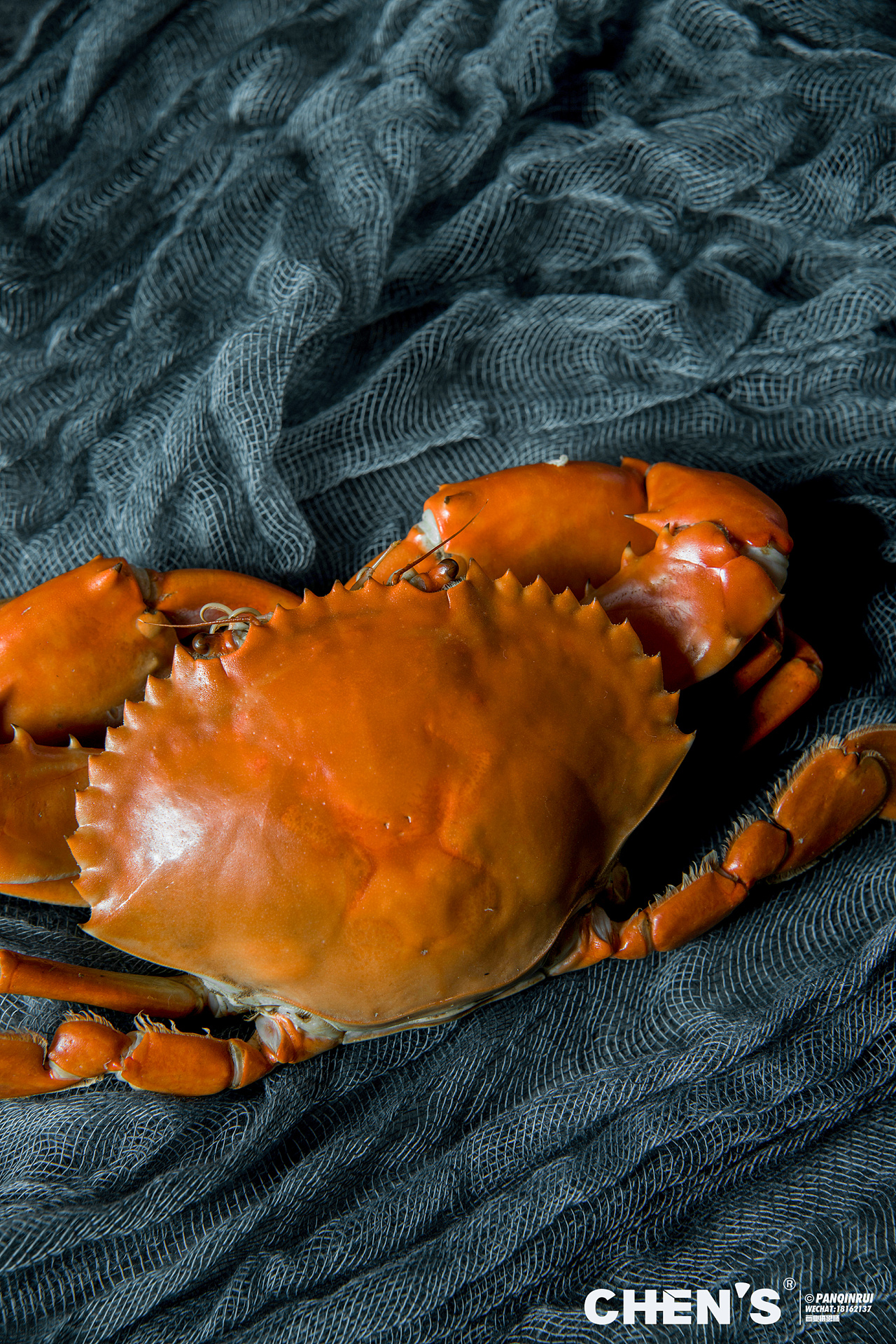 海鲜蟹图片素材-编号15260144-图行天下