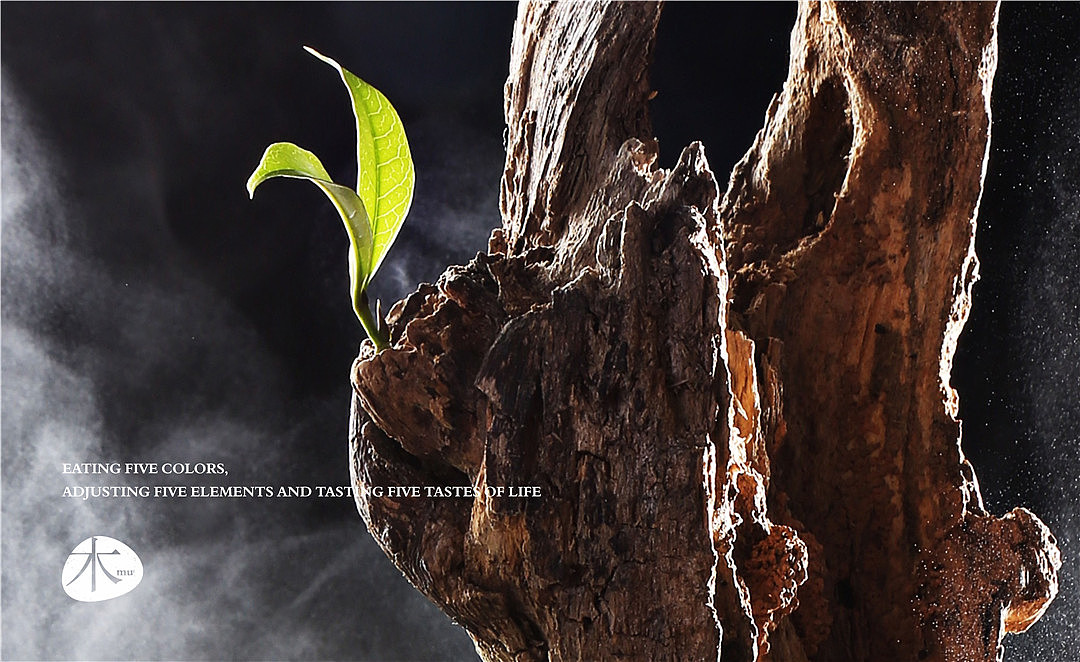 蔬心缘·五行火锅料理 | 餐饮品牌全案设计