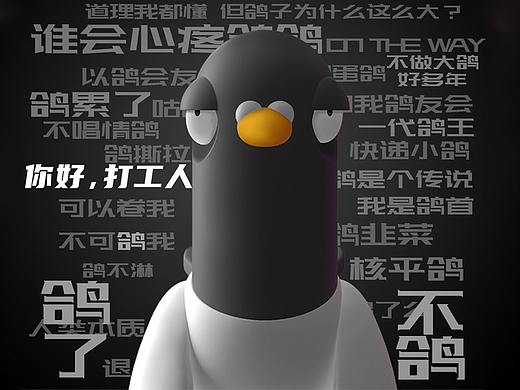 鸟类高质量小鸽：潇洒鸽—闪亮登场！