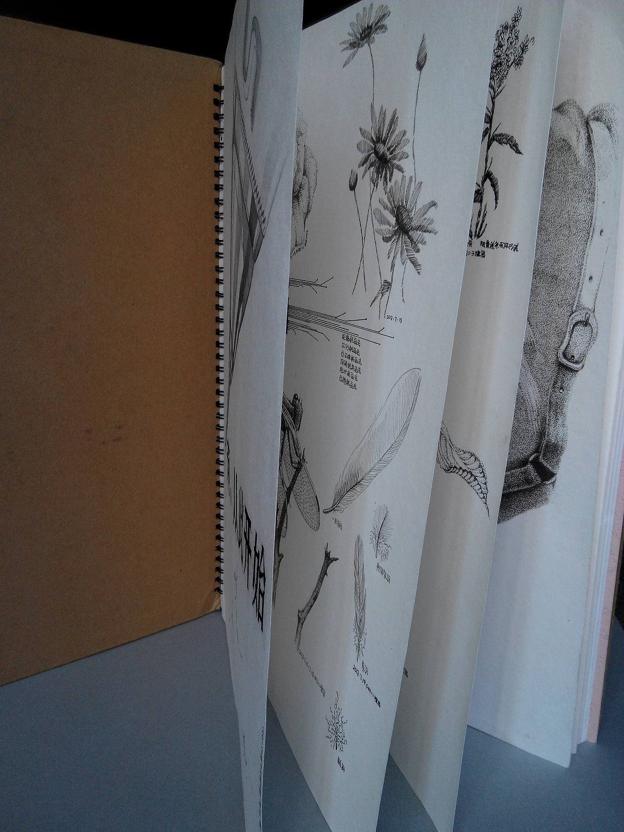 手绘（图ZMTQzOTY1NTI=） - 绘画 - 站酷设计师森林小兵原创素材 - 站酷ZCOOL