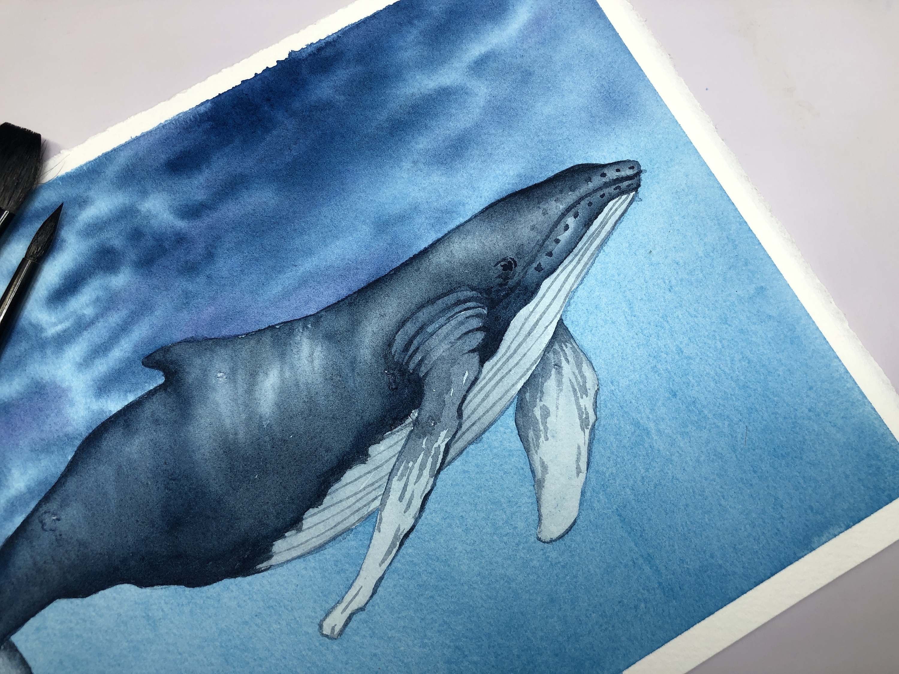 鲸鱼🐳|纯艺术|绘画|丹青画出是君山 - 原创作品 - 站酷 (ZCOOL)