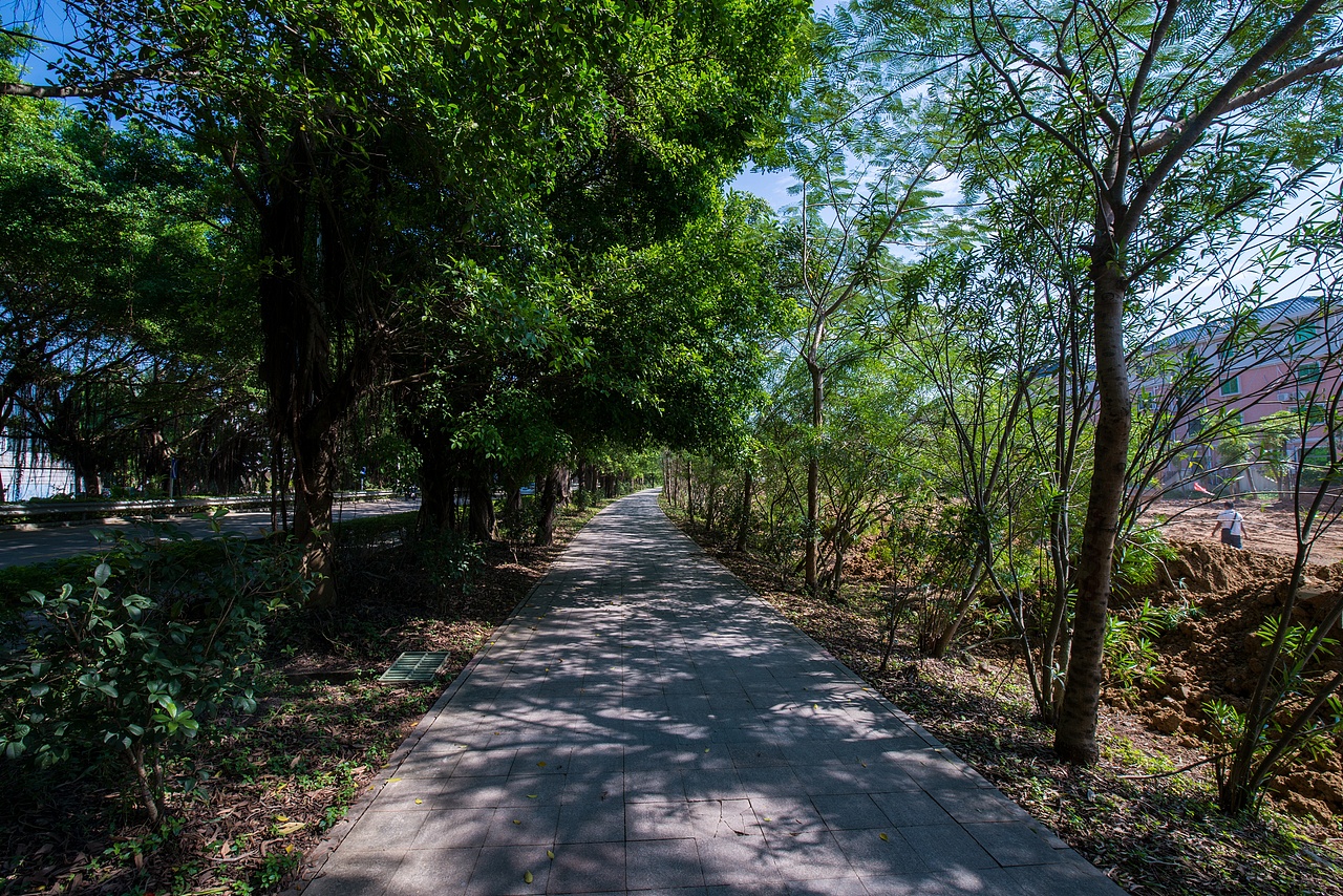 一路向东，骑行大鹏、校场尾与官湖（图ZNjUwMTc4MDA=） - 风光摄影 - 站酷设计师品木创意摄影原创素材 - 站酷ZCOOL