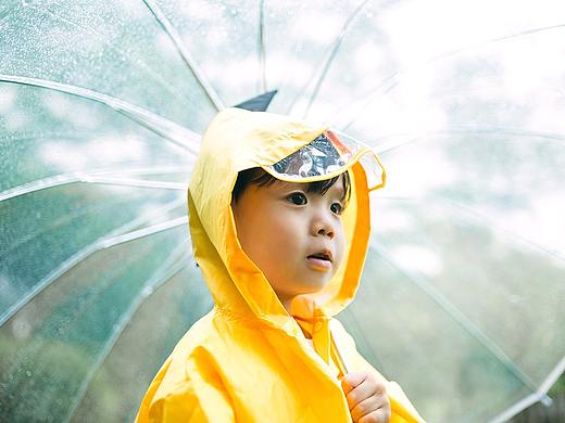 夏の雨