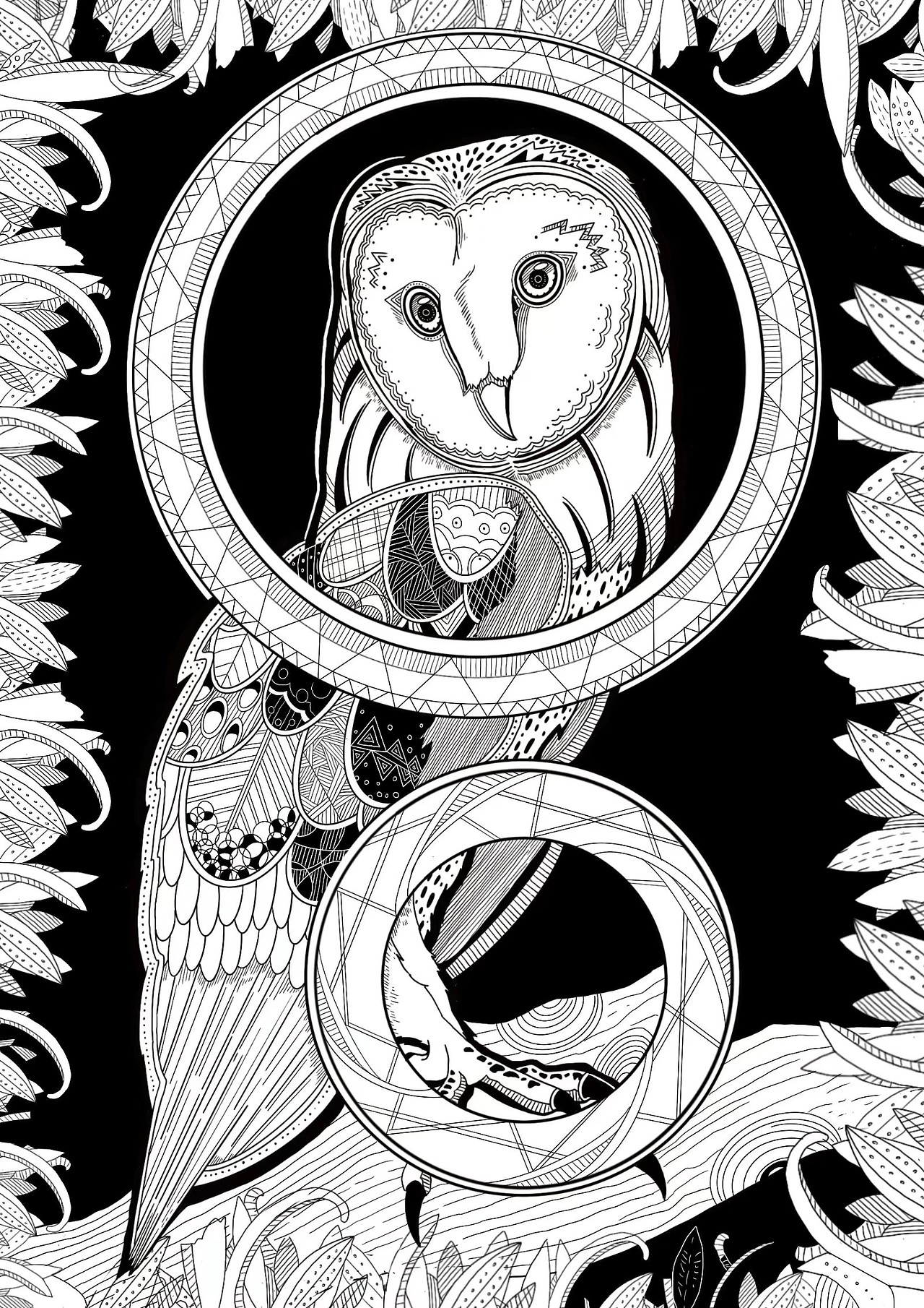 生物多樣性（圖ZMjY4MDUyNzA4） - 商業(yè)插畫(huà) - 站酷設(shè)計(jì)師小橘佑原創(chuàng)素材 - 站酷ZCOOL