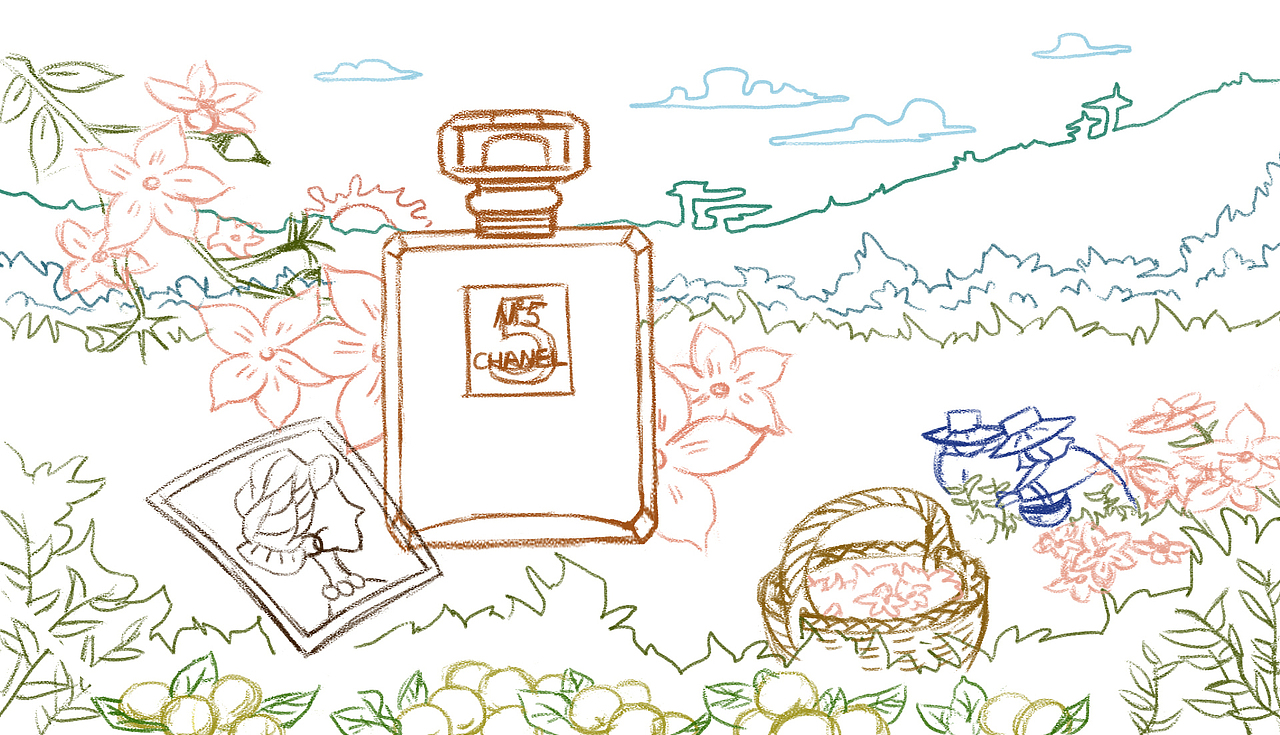 香奈儿no.5香水视觉图|插画|创作习作|耶野爷_原创作品-站酷(zcool)