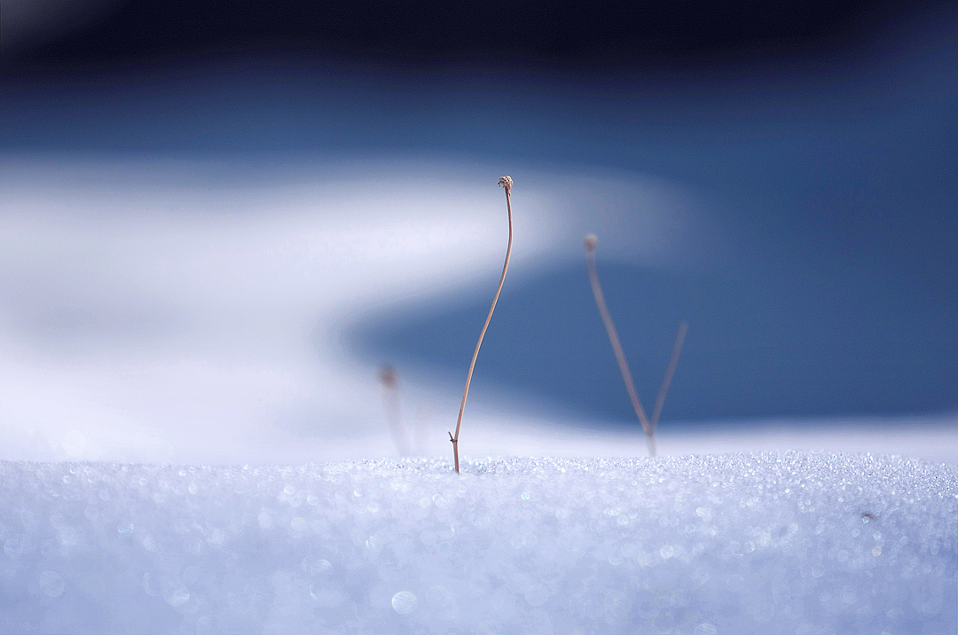 一个人的雪景（上）（图ZODQwMTgzMg==） - 风光摄影 - 站酷设计师amhx原创素材 - 站酷ZCOOL
