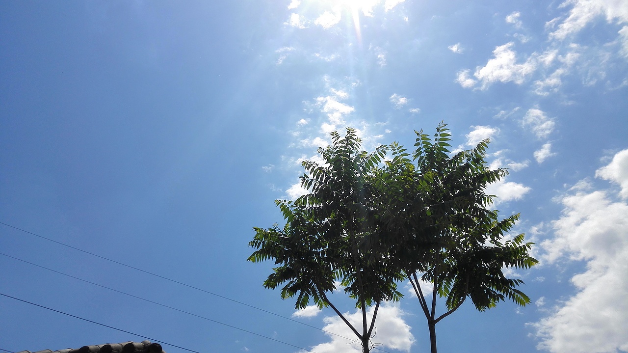 手機(jī)照片做的底圖（圖ZMjg2MjE3MjA=） - 品牌 - 站酷設(shè)計(jì)師SHINE1115原創(chuàng)素材 - 站酷ZCOOL