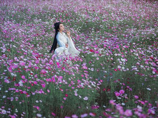 花海
