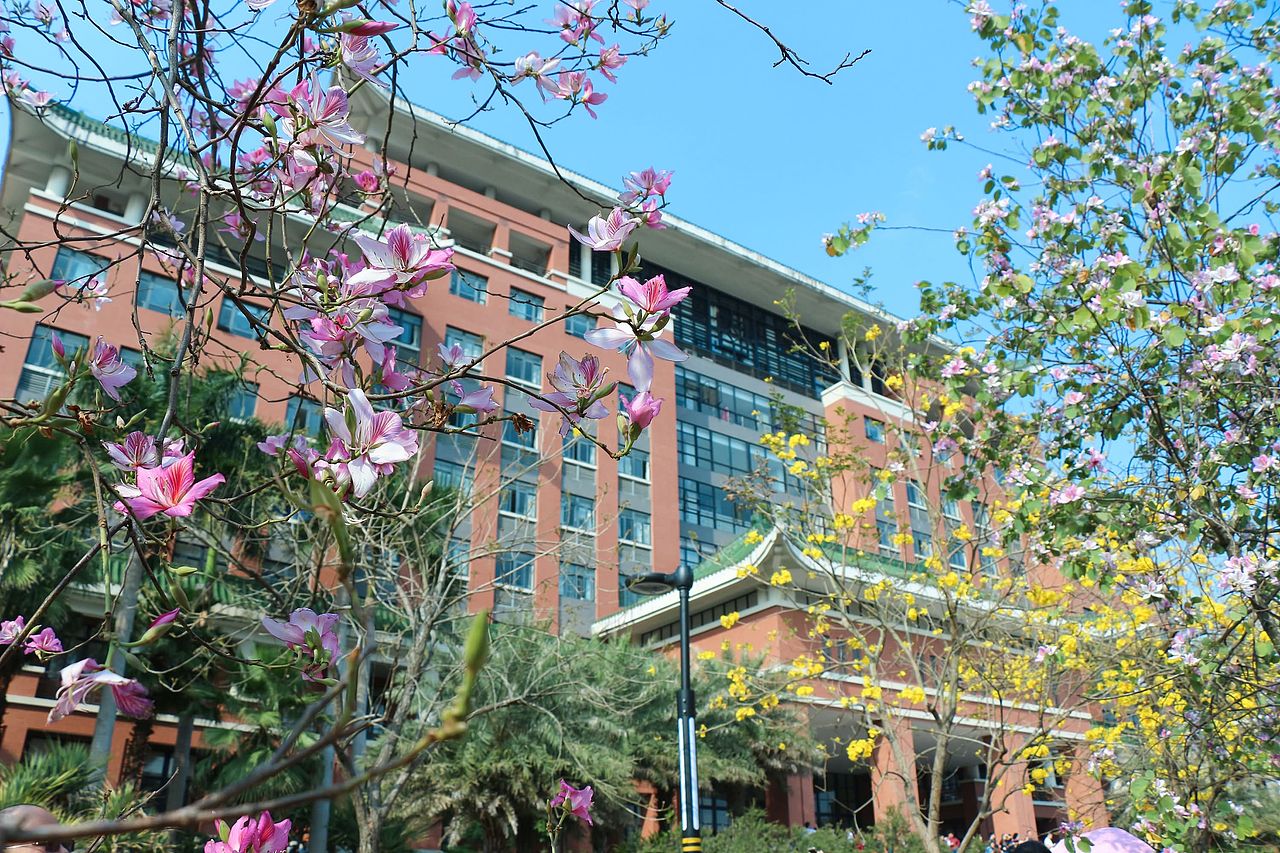 阳春三月在人海中赏花