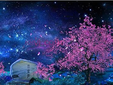 全息投影素材，神秘森林，梦幻星空，浪漫欧式，海洋