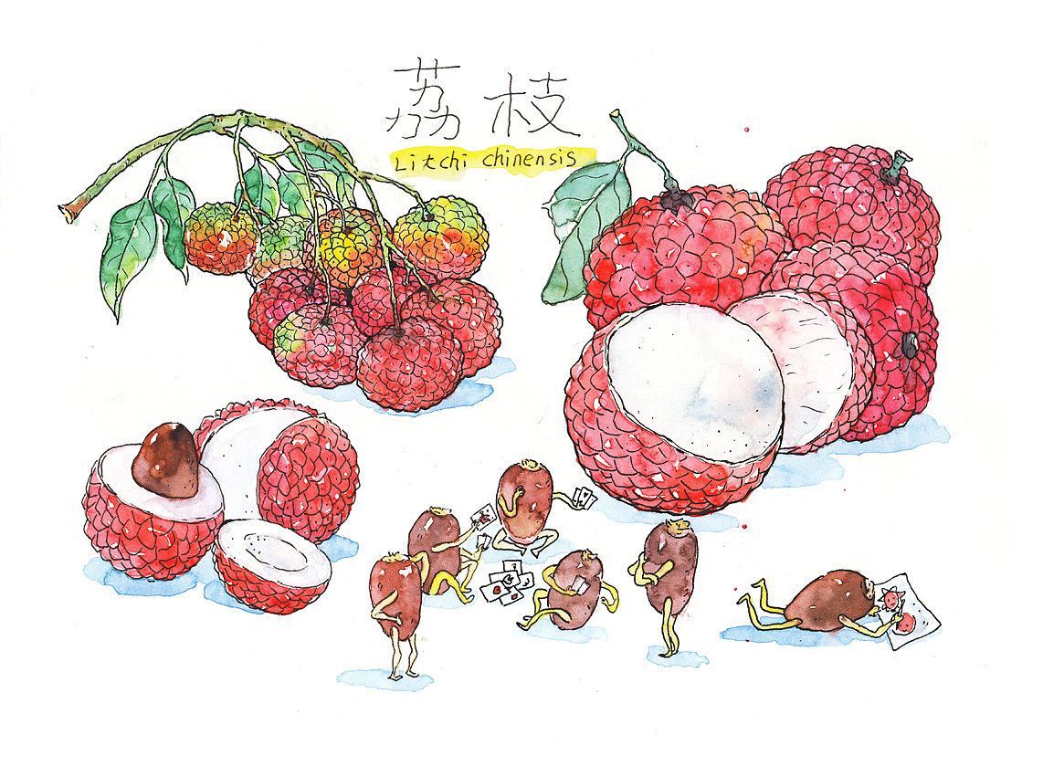 《水果的秘密》（图ZMjgxMTU0NzAw） - 创作习作 - 站酷设计师灰猫大米原创素材 - 站酷ZCOOL