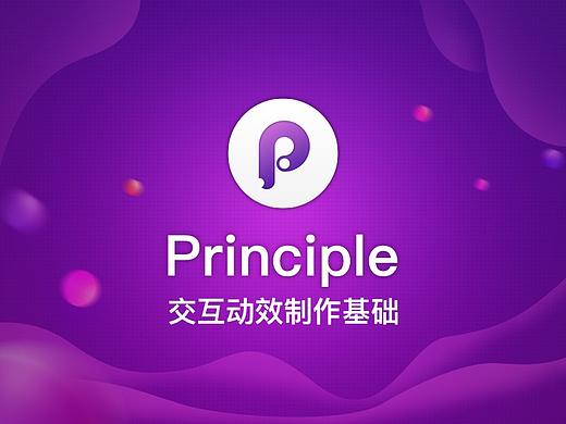 Principle常用功能介绍
