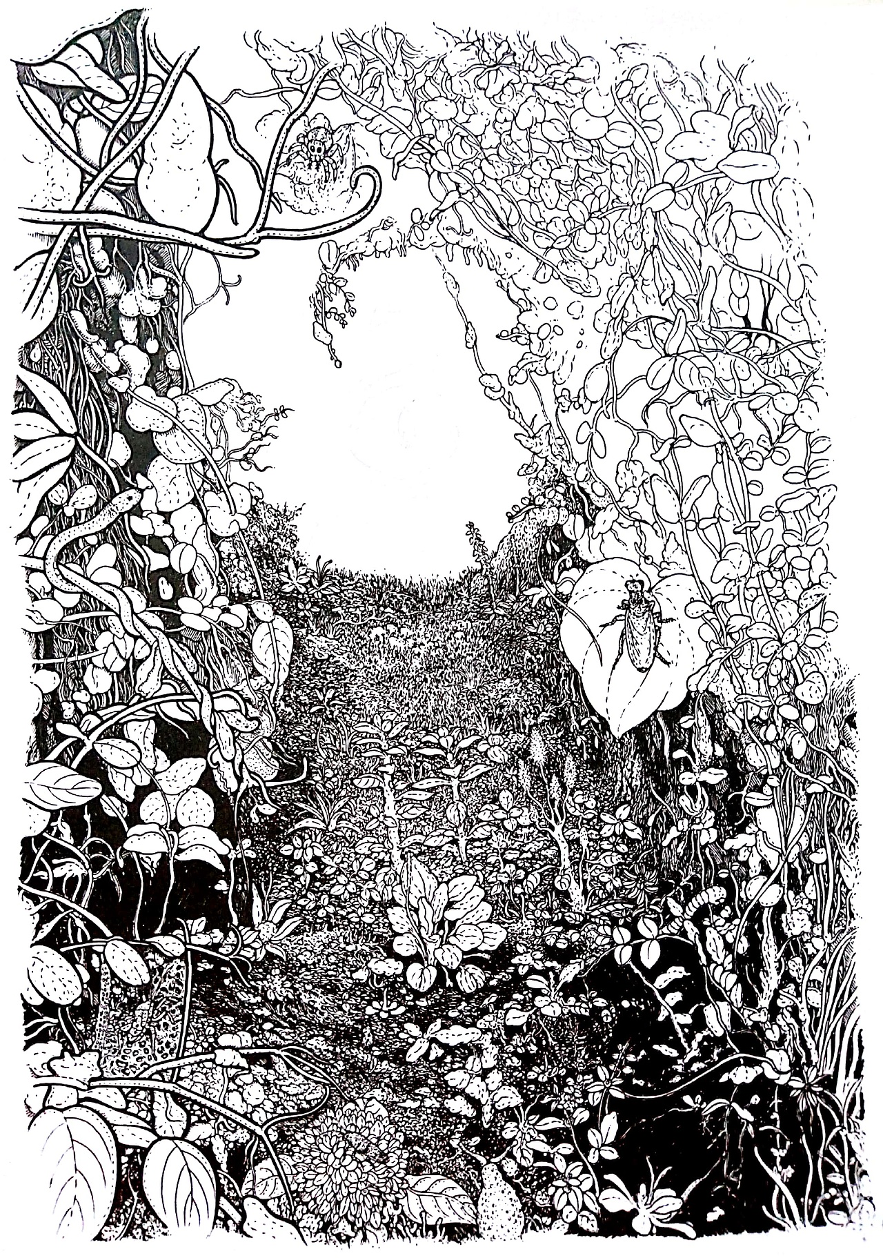 龙之眼（图ZODkxOTA1NjQ=） - 绘画 - 站酷设计师绿野仙踪WYT原创素材 - 站酷ZCOOL