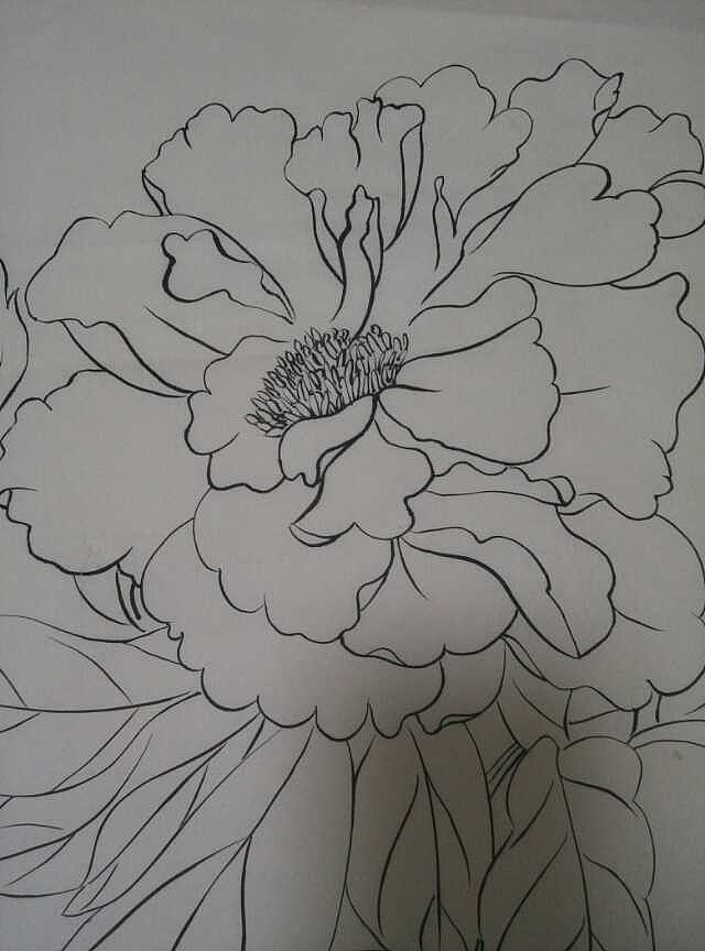 我的国画--花卉