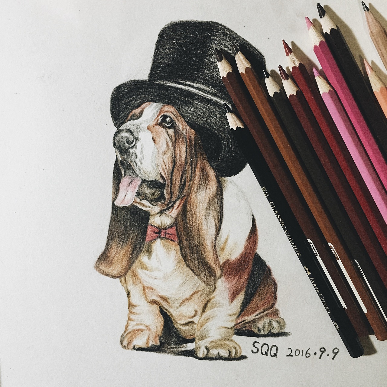 彩铅练习 | 巴吉度犬