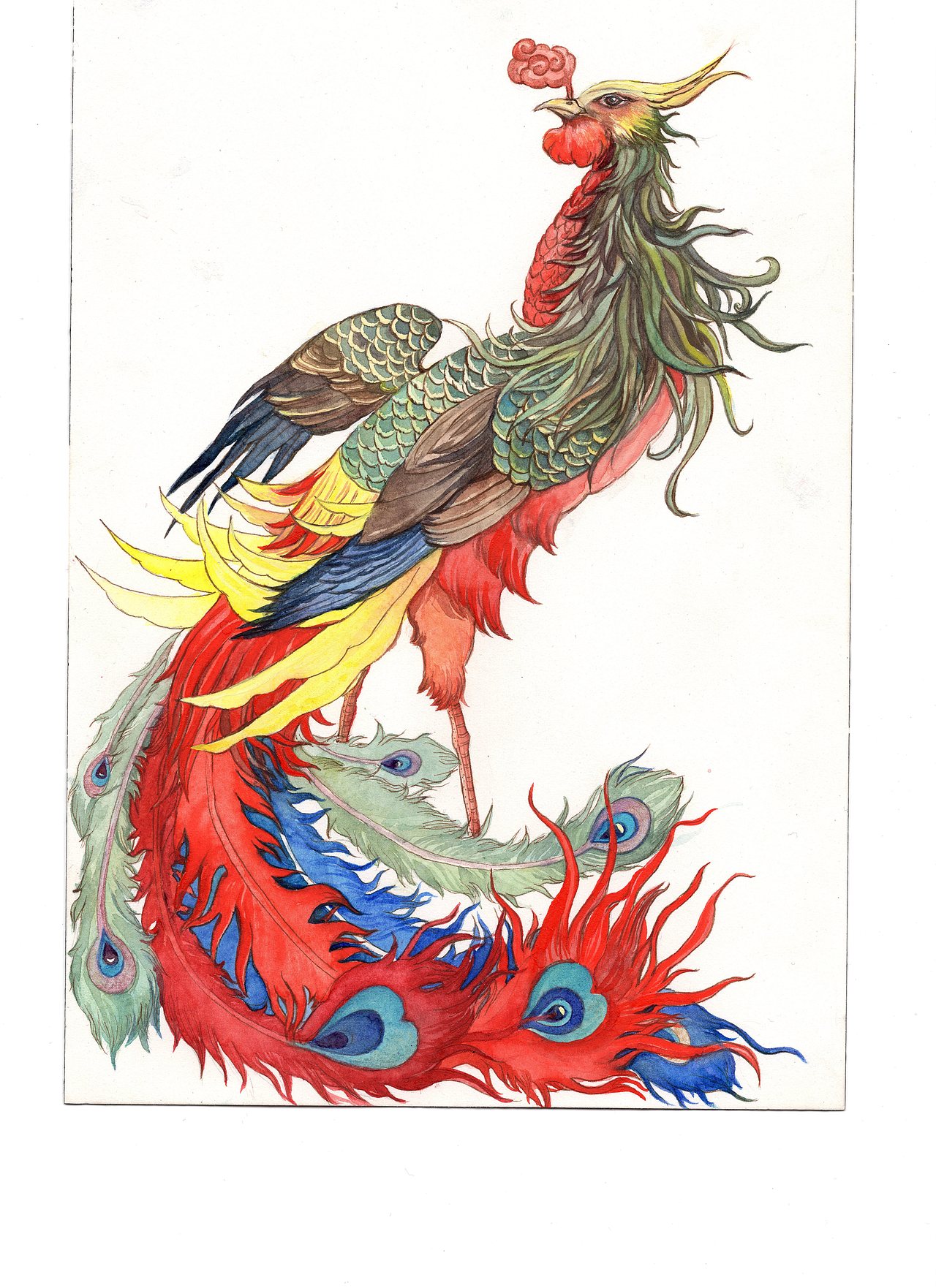 凤凰水彩创作系列（图ZNzA4NDc0MDg=） - 商业插画 - 站酷设计师李林芯原创素材 - 站酷ZCOOL