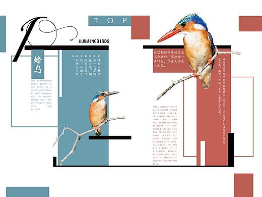 排版作业
