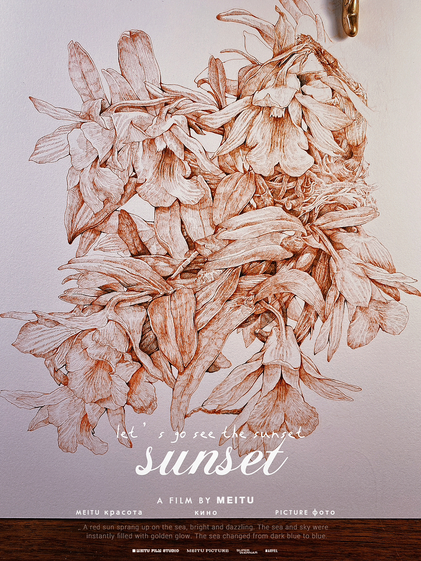 蘸水笔针管笔｜喉红石斛兰（图ZMzI4ODU4MDY4） - 艺术插画 - 站酷设计师CatCastleDZ原创素材 - 站酷ZCOOL