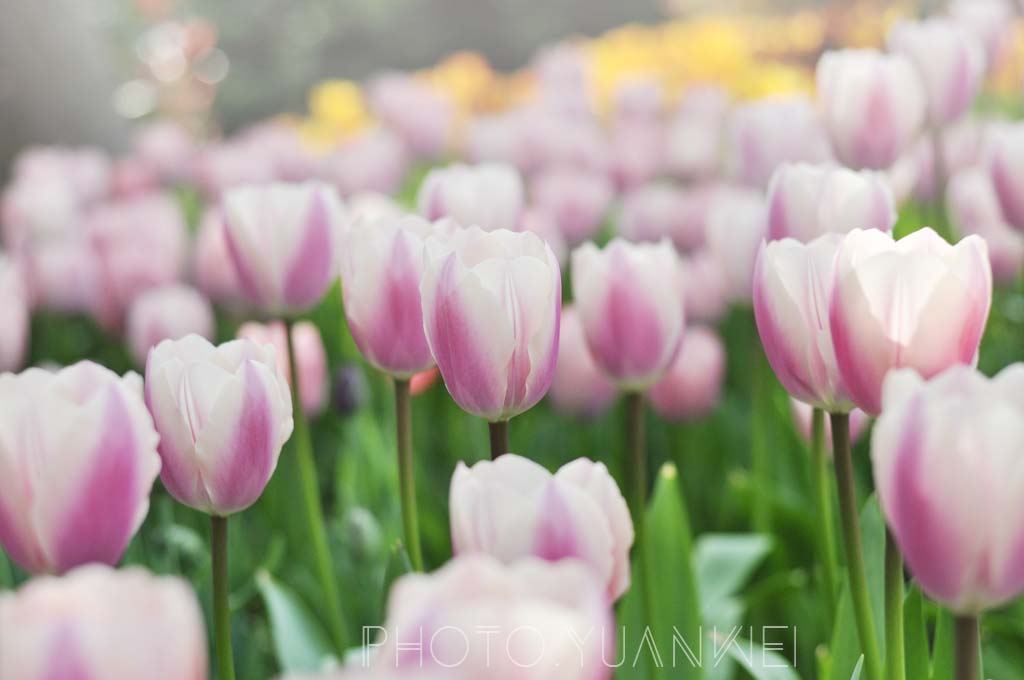 南通纬维纺织科技的个人主页（背景预览） - 主页背景设置 - 站酷设计师南通纬维纺织科技原创素材 - 站酷ZCOOL
