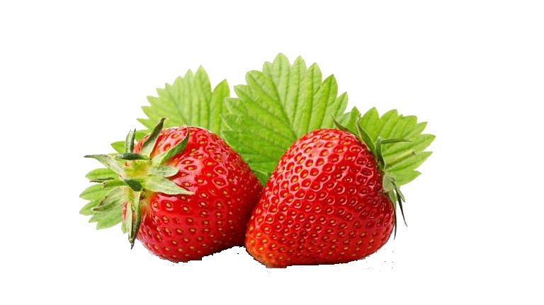 抠图---贝壳水果