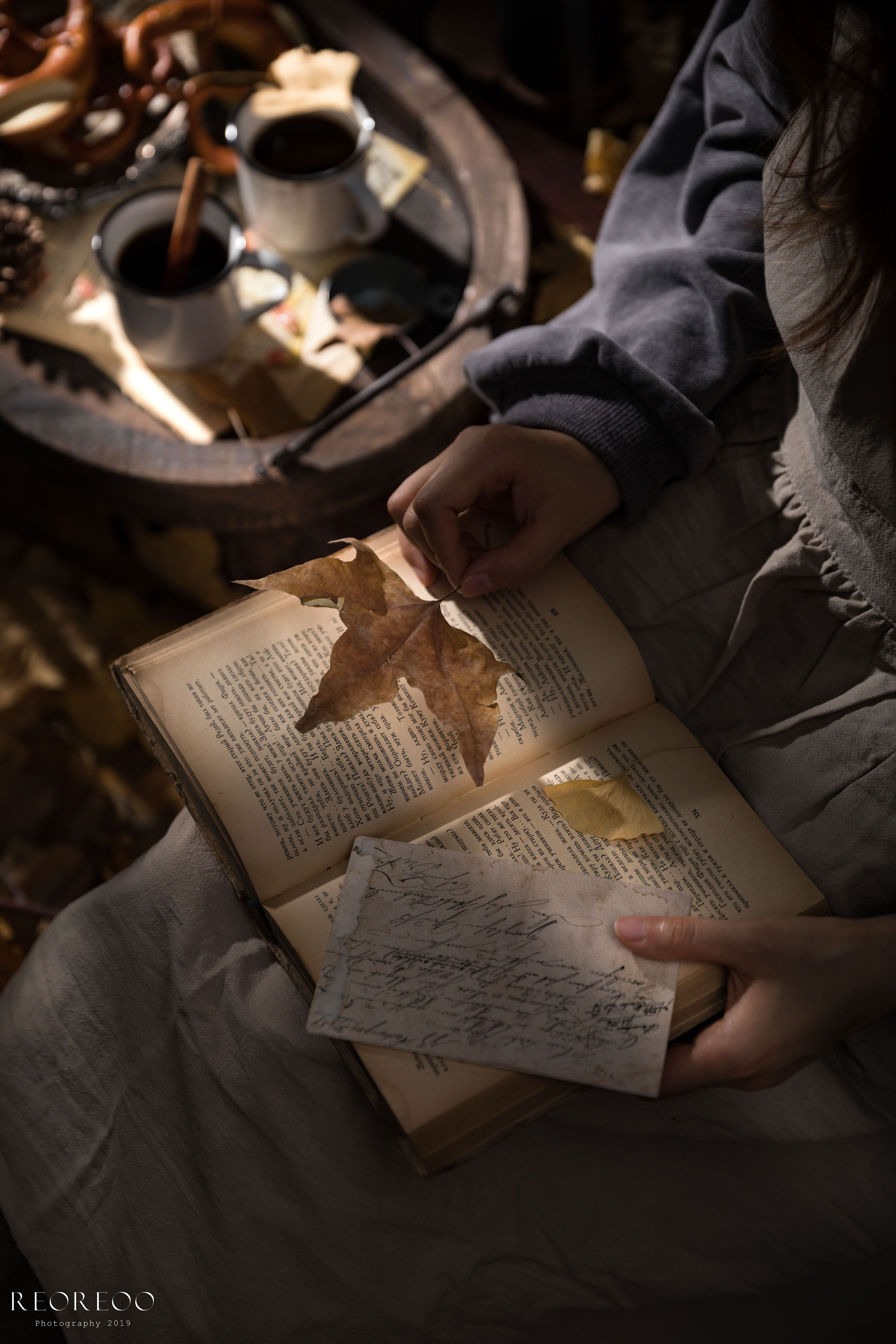 秋天 枫叶 北欧 欧洲风 羽毛笔 书