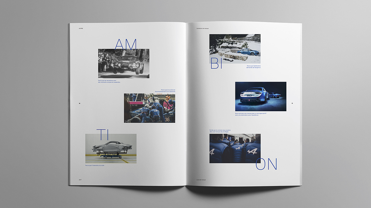 ALPINE Brand Book