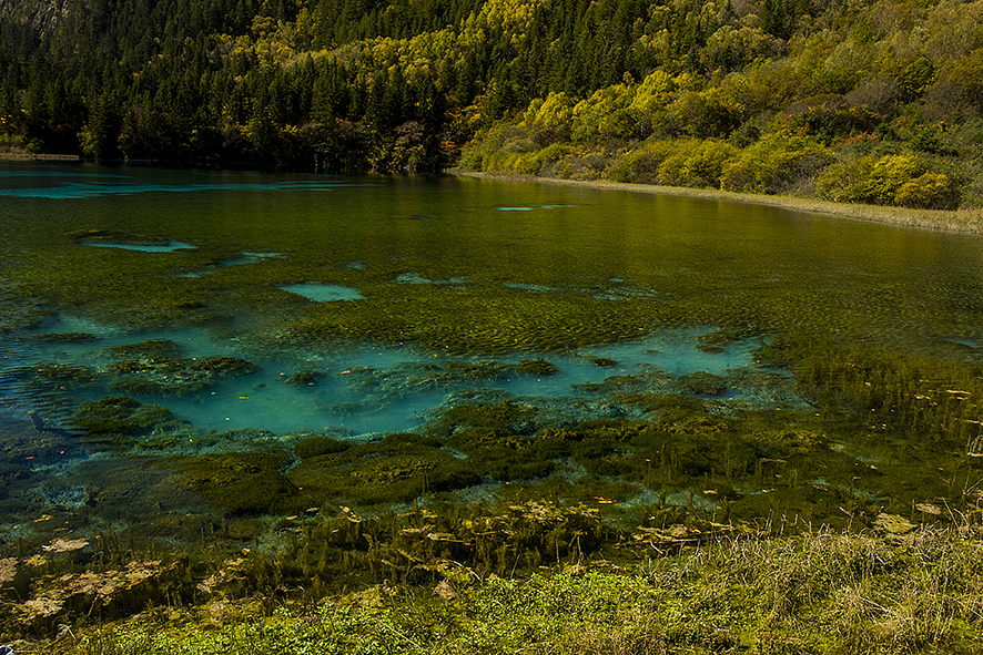 2014·10九寨沟（图ZMjA5NDc4OTY=） - 风光摄影 - 站酷设计师RyanShao原创素材 - 站酷ZCOOL
