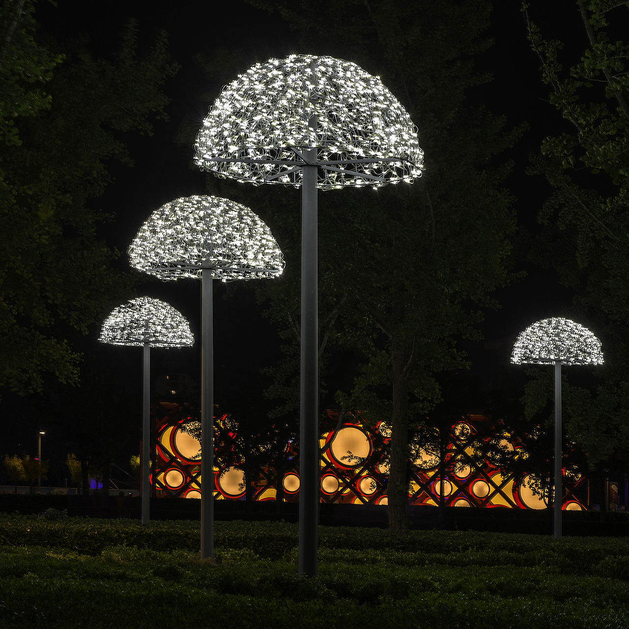 奥林匹克场馆区夜色