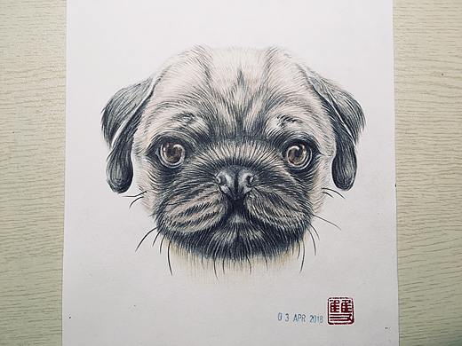 狗子（个人主页-ZMjcwMTY1NjQ=） - 艺术插画 - 站酷设计师奶油虾原创素材 - 站酷ZCOOL