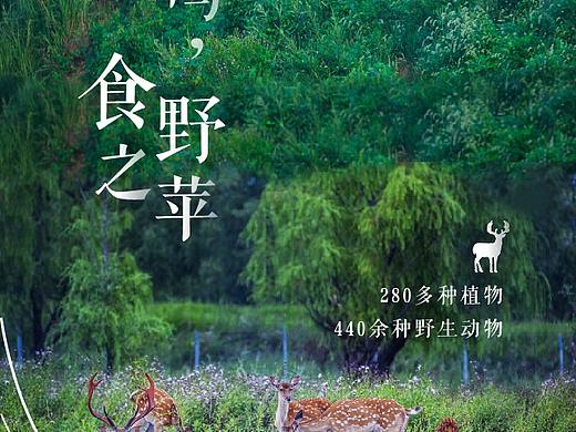 地产 水云间 长图