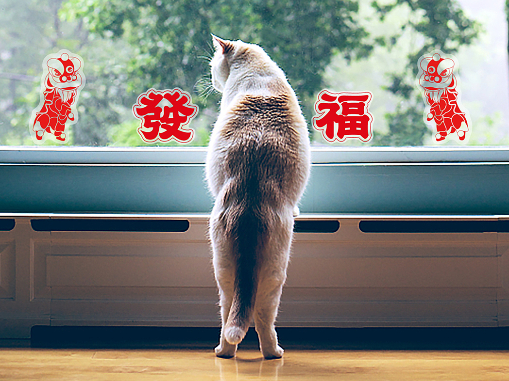 上新 | 潮酷、惊艳,窗花新物种