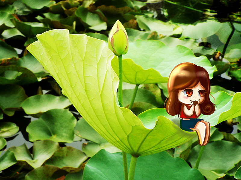 夏风十里一潭碧。