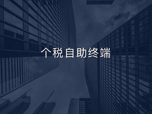 个税自助终端界面